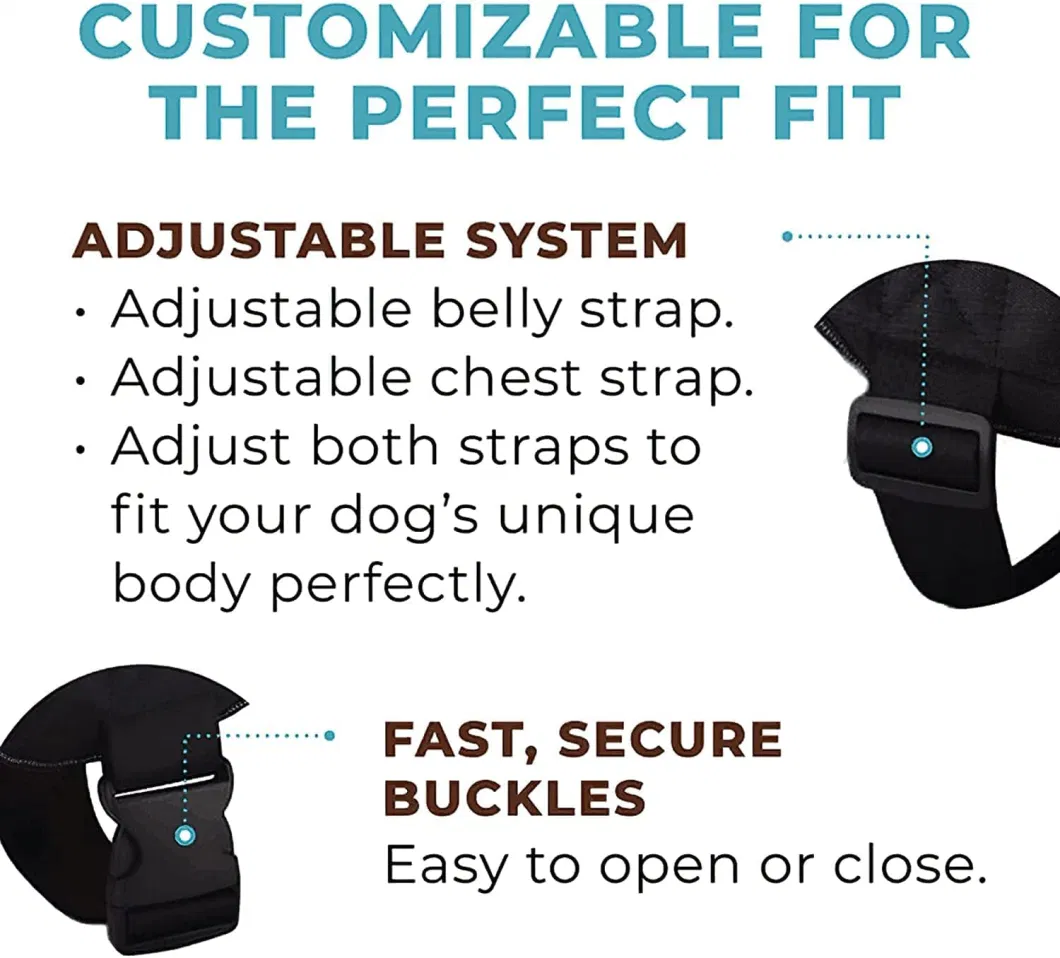 No-Pull Pet Harness with 3 Side Rings for Leash Placement, Adjustable Soft-Padded Vest for Training, Walking, Running, No-Choke with Easy on-off Technology